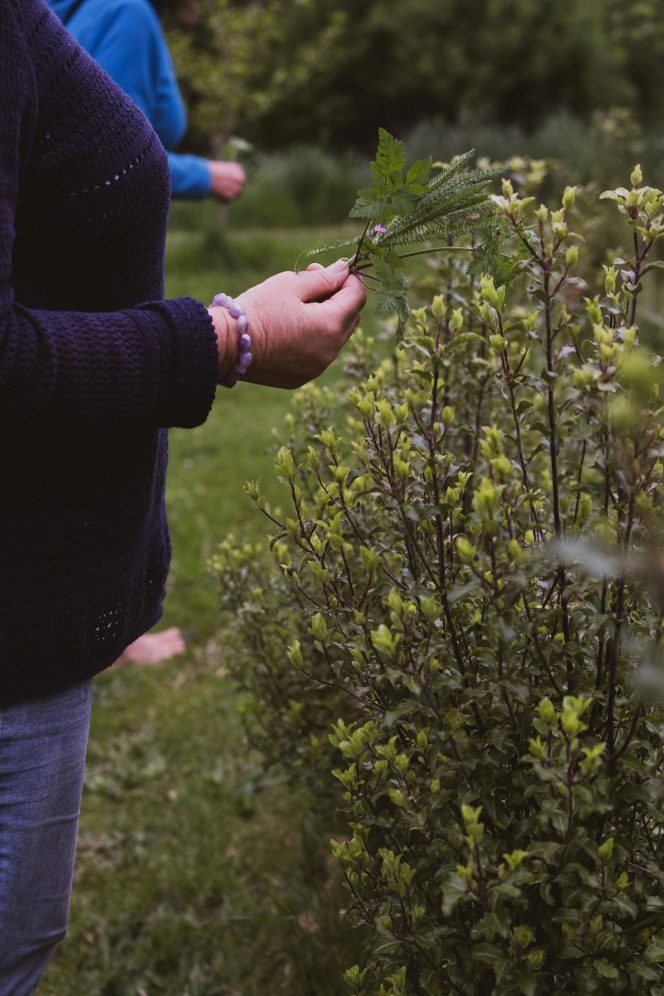 
 How to Create a Low-Maintenance, Eco-Friendly Garden